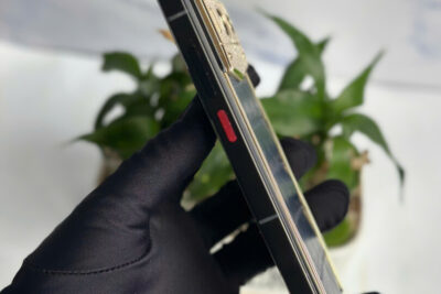 METAVERTU 2 lưng cá sấu xanh viền gold đính kim