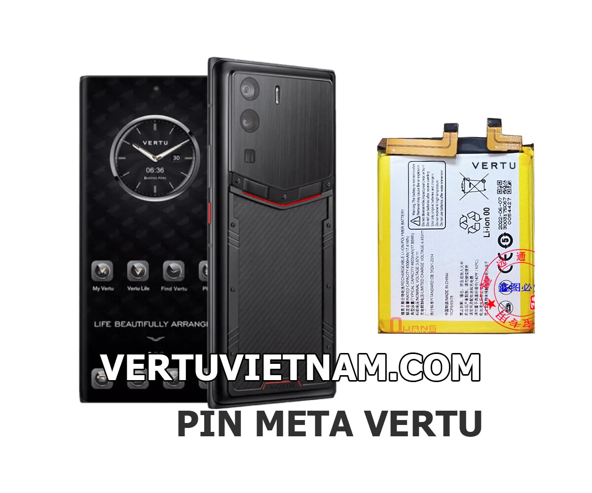 Pin Metavertu